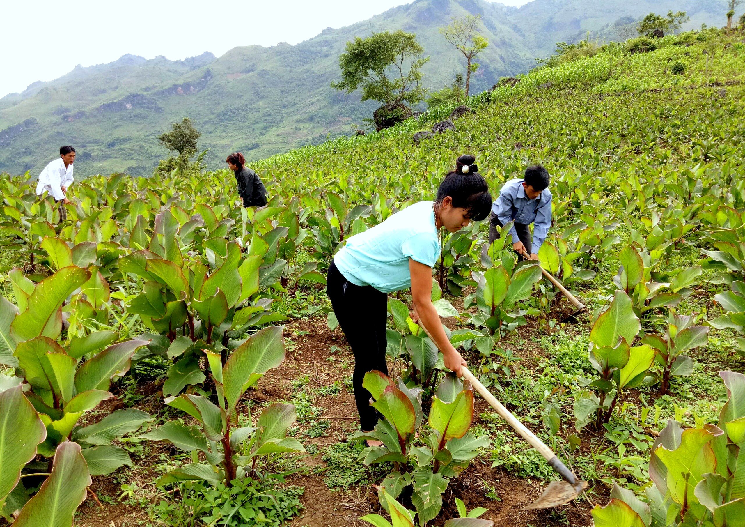 Đổi thay ở bản Nậm Nó 2 